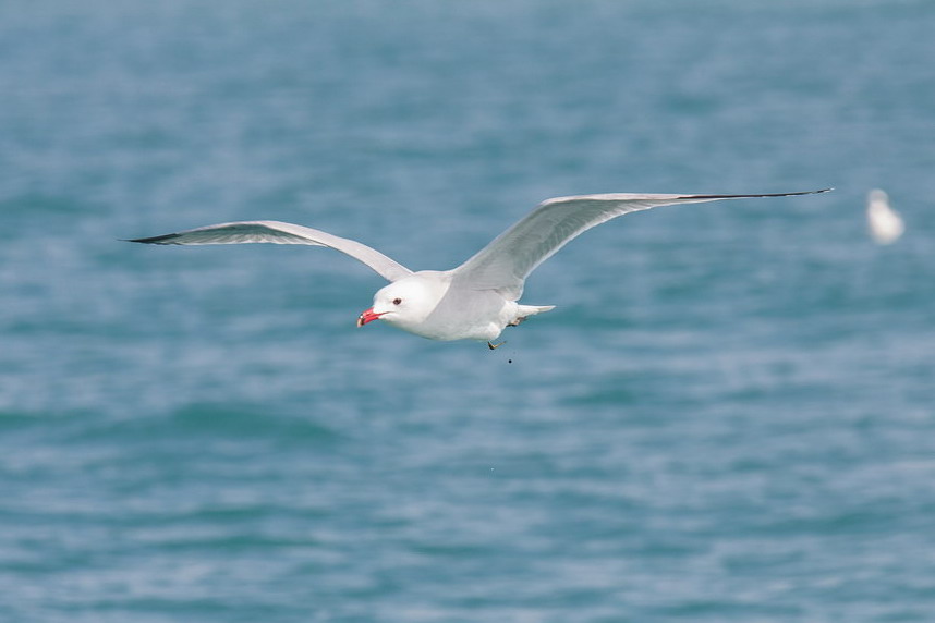 Soggetti in movimento sul mare..